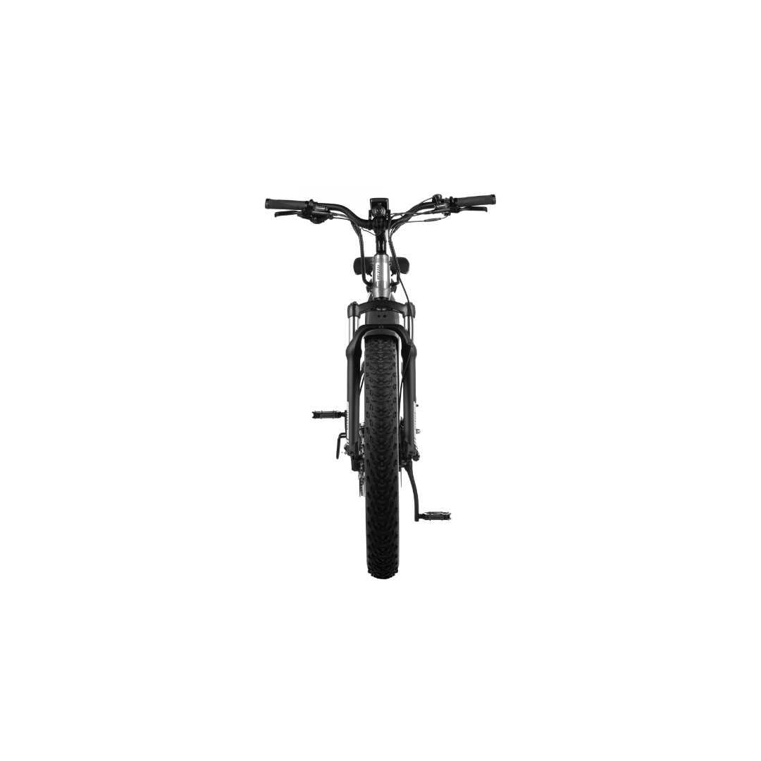 Aventon | Aventure 2 eBike