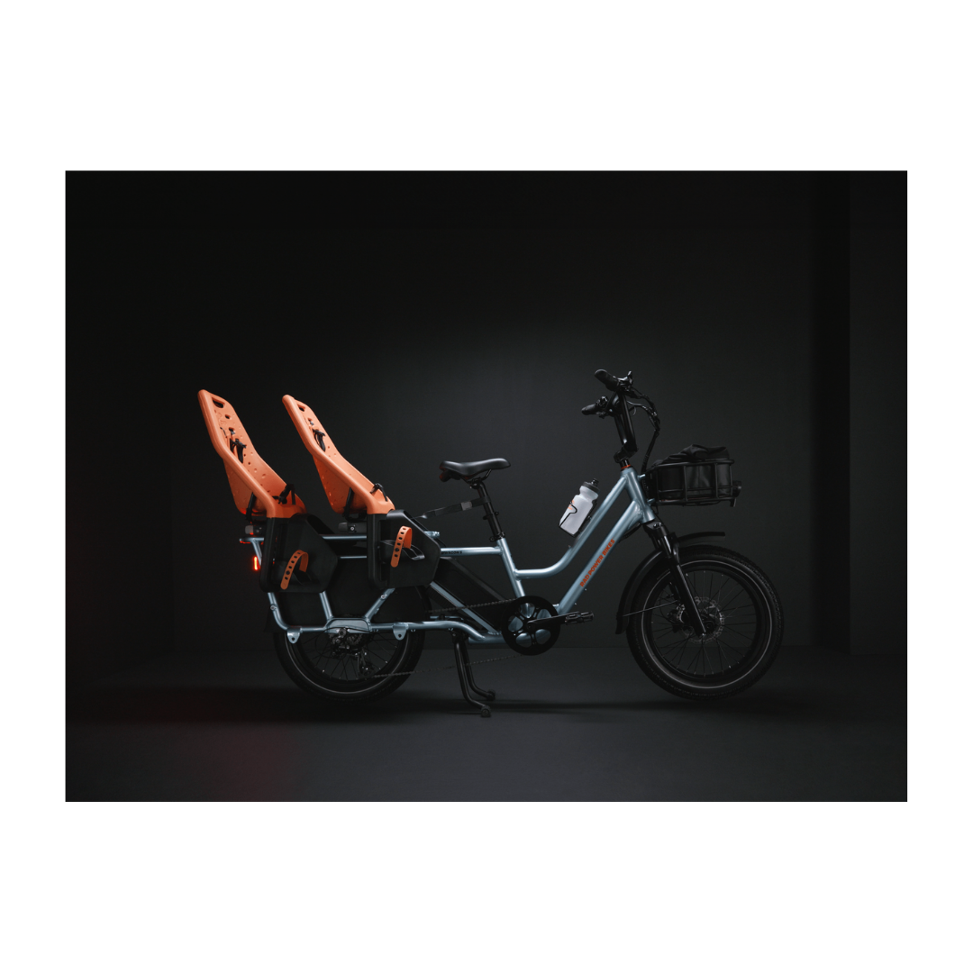 Rad Power Bikes | RadWagon 5 eBike