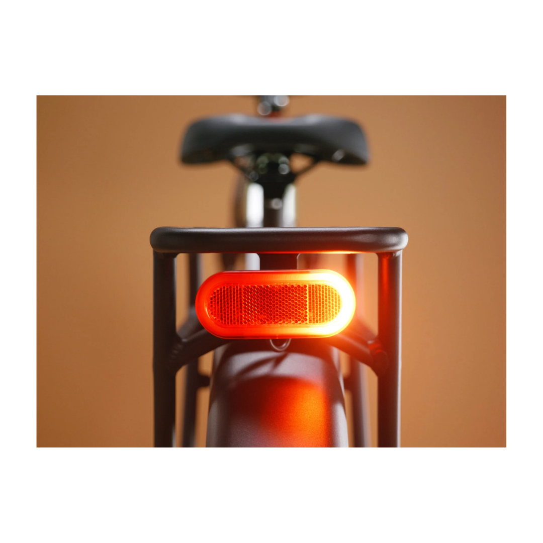 Rad Power Bikes | Radster Trail eBike