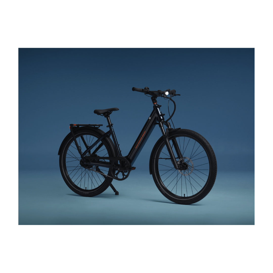 Rad Power Bikes | RadKick Belt Drive eBike