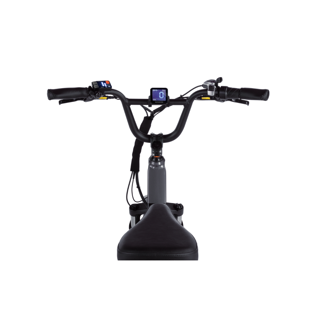 Rad Power Bikes | RadRunner 3 Plus
