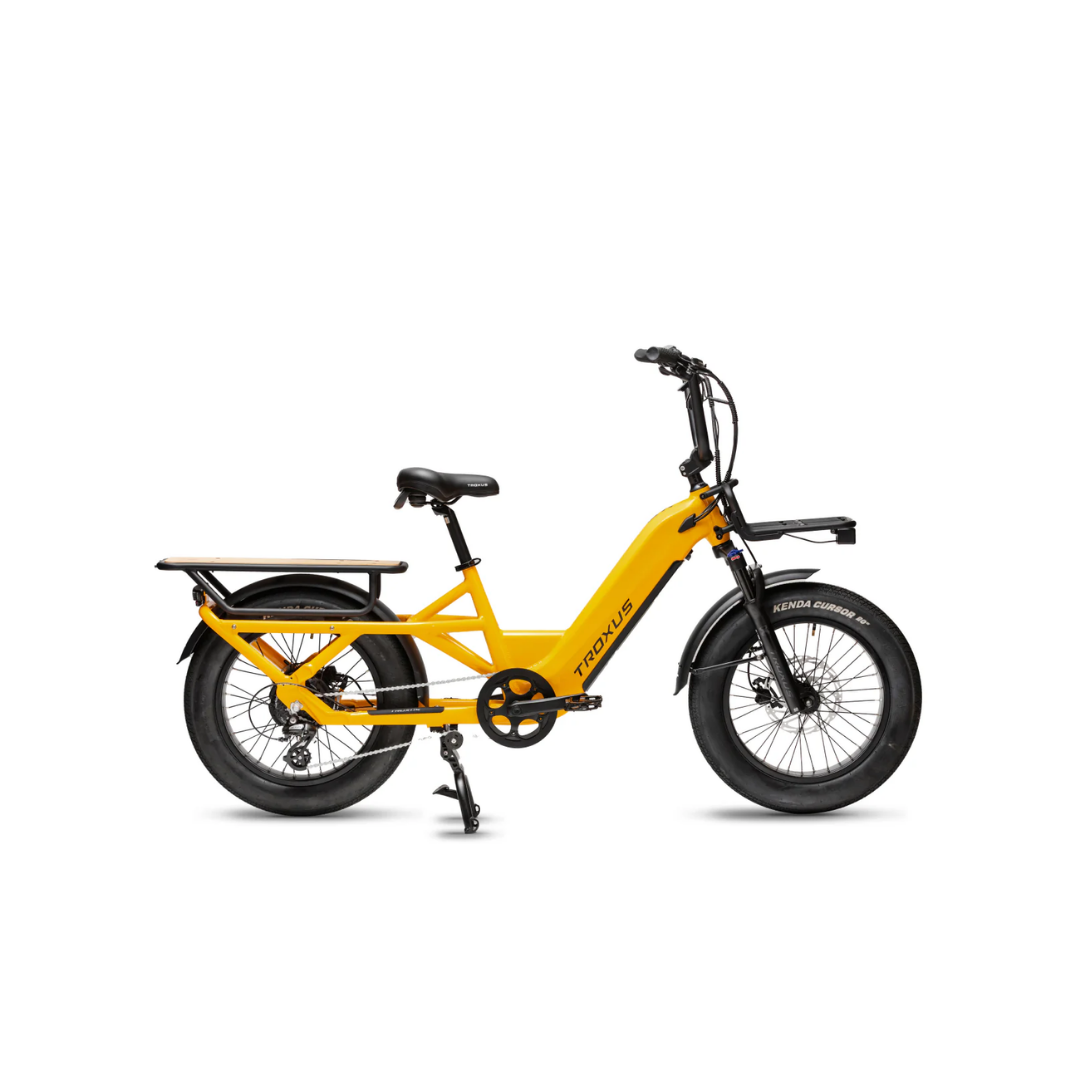 Troxus | Lynx Cargo Ebike