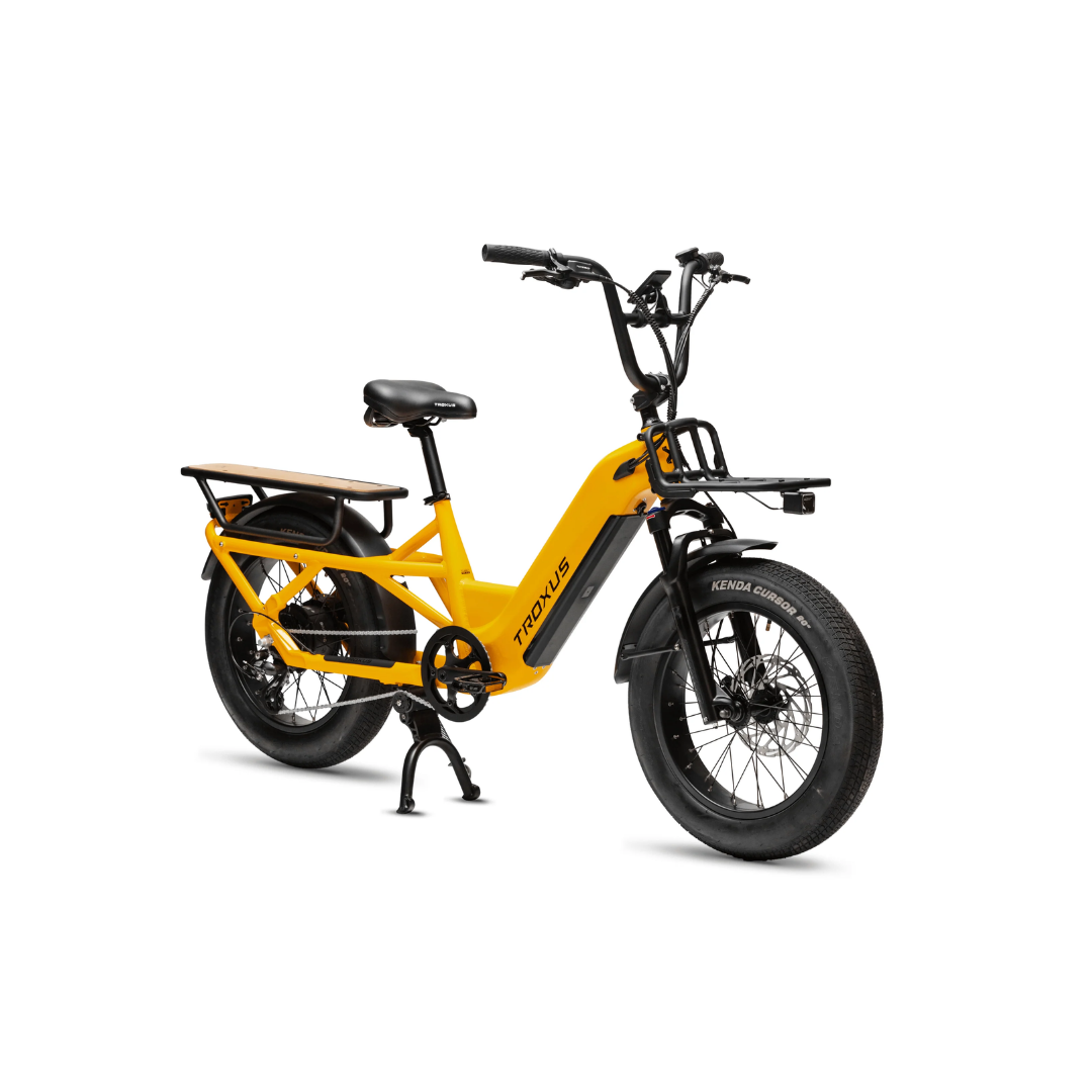Troxus | Lynx Cargo Ebike
