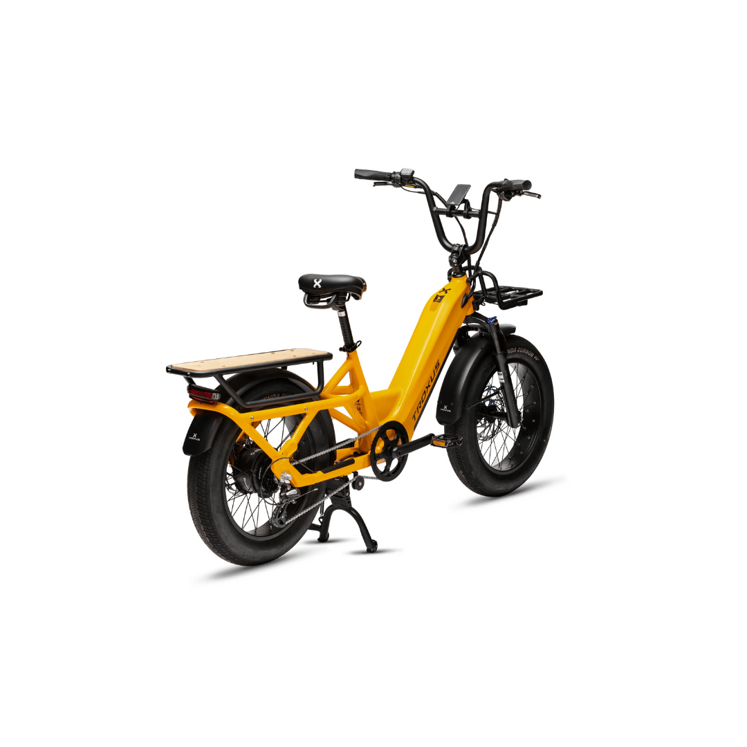 Troxus | Lynx Cargo Ebike