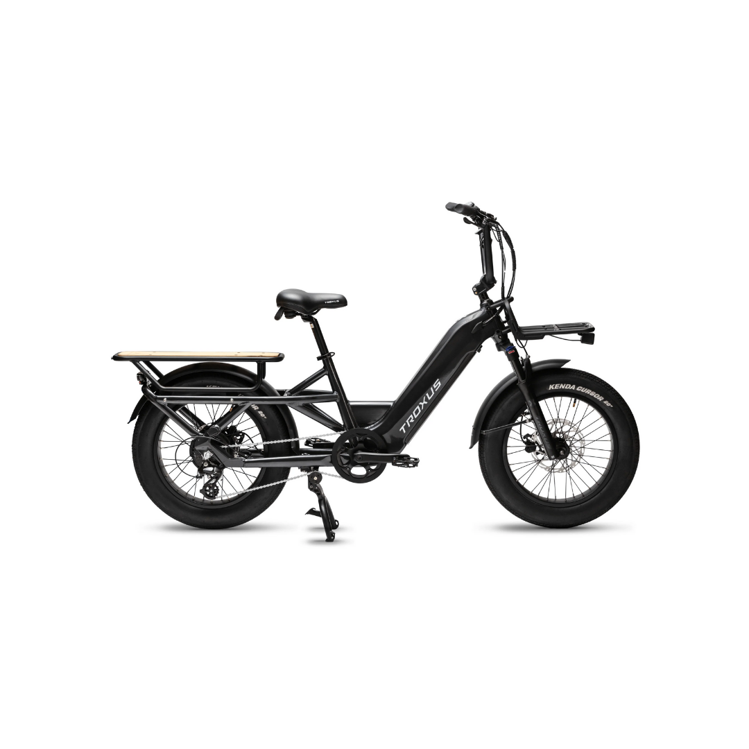 Troxus | Lynx Cargo Ebike
