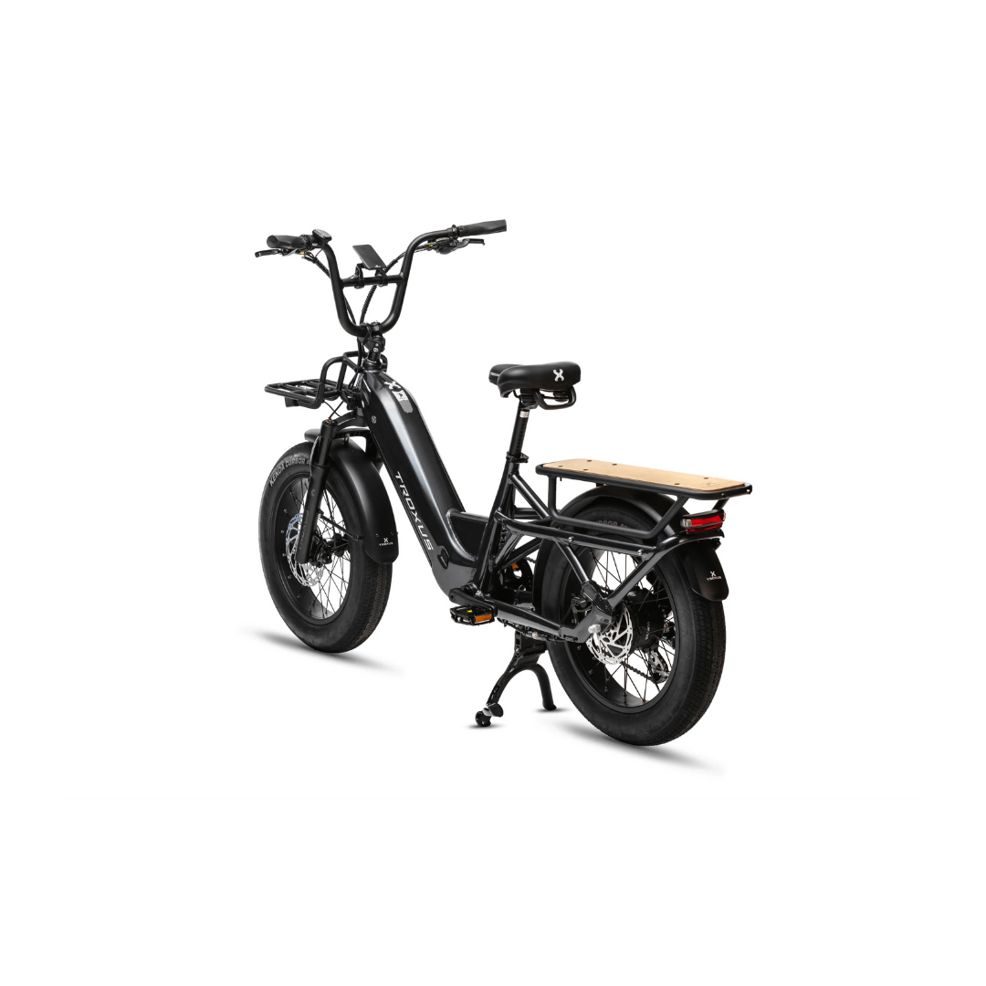 Troxus | Lynx Cargo Ebike