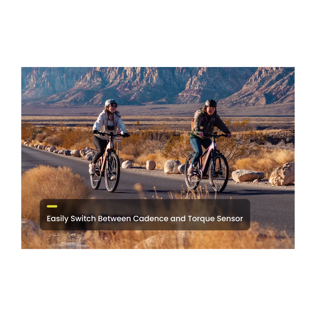 Aventon | Level 3 eBike