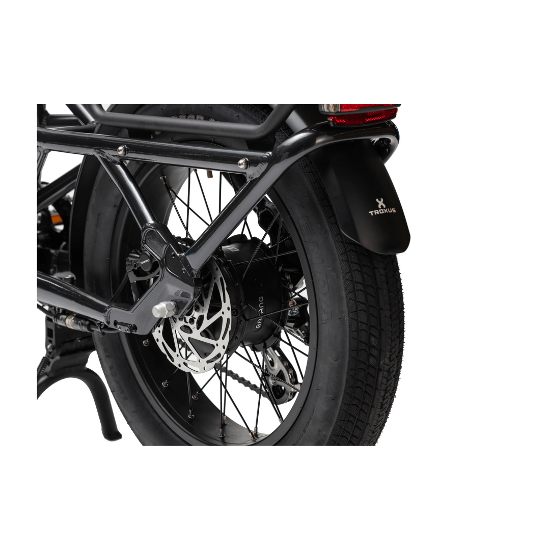 Troxus | Lynx Cargo Ebike