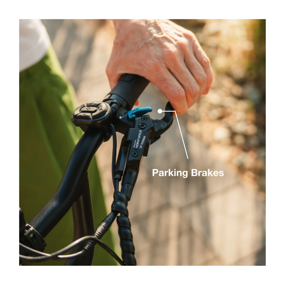 Lectric | XP Trike 2 750 eBike