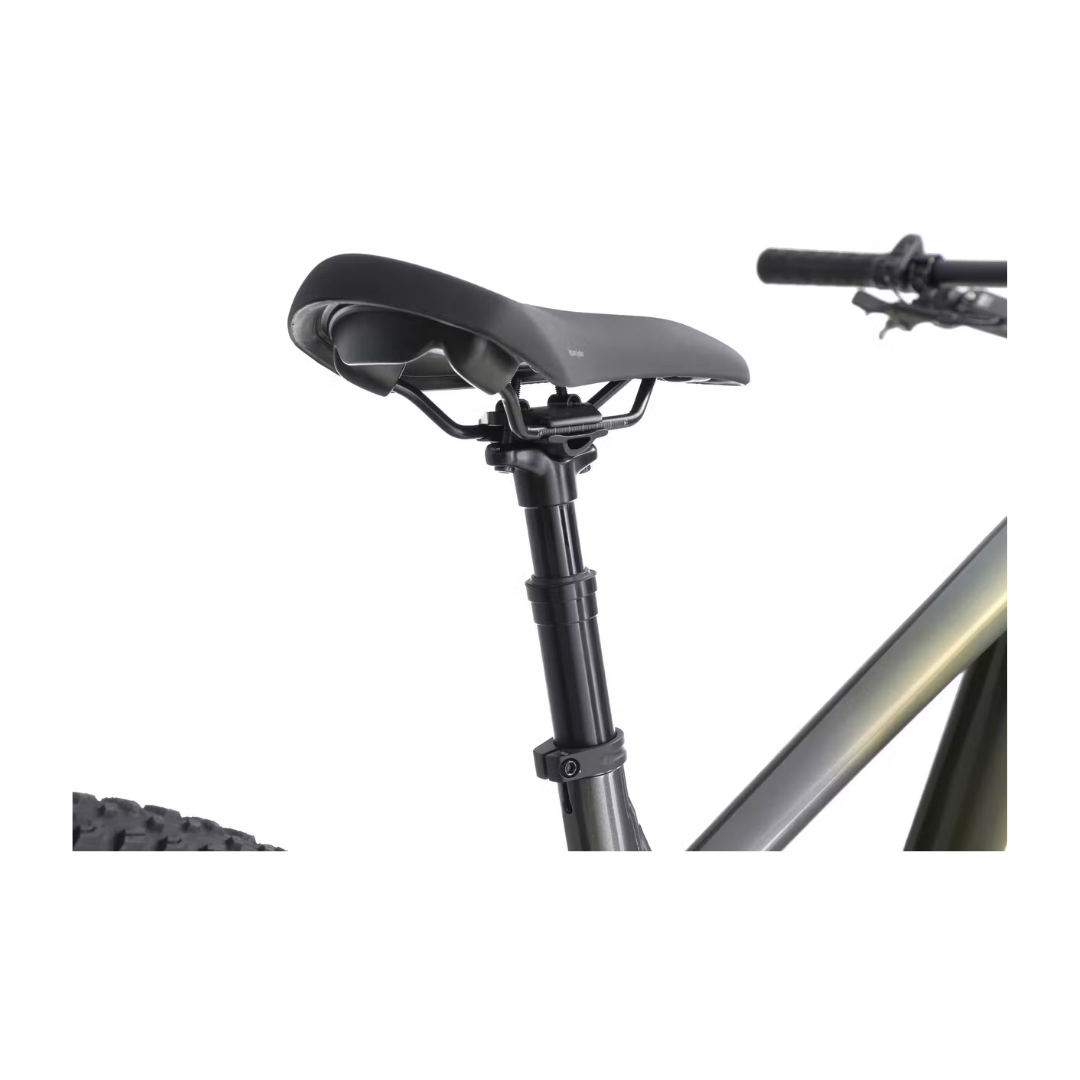 Aventon | Ramblas