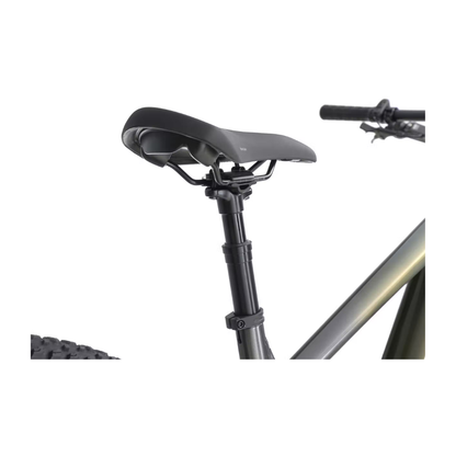 Aventon | Ramblas