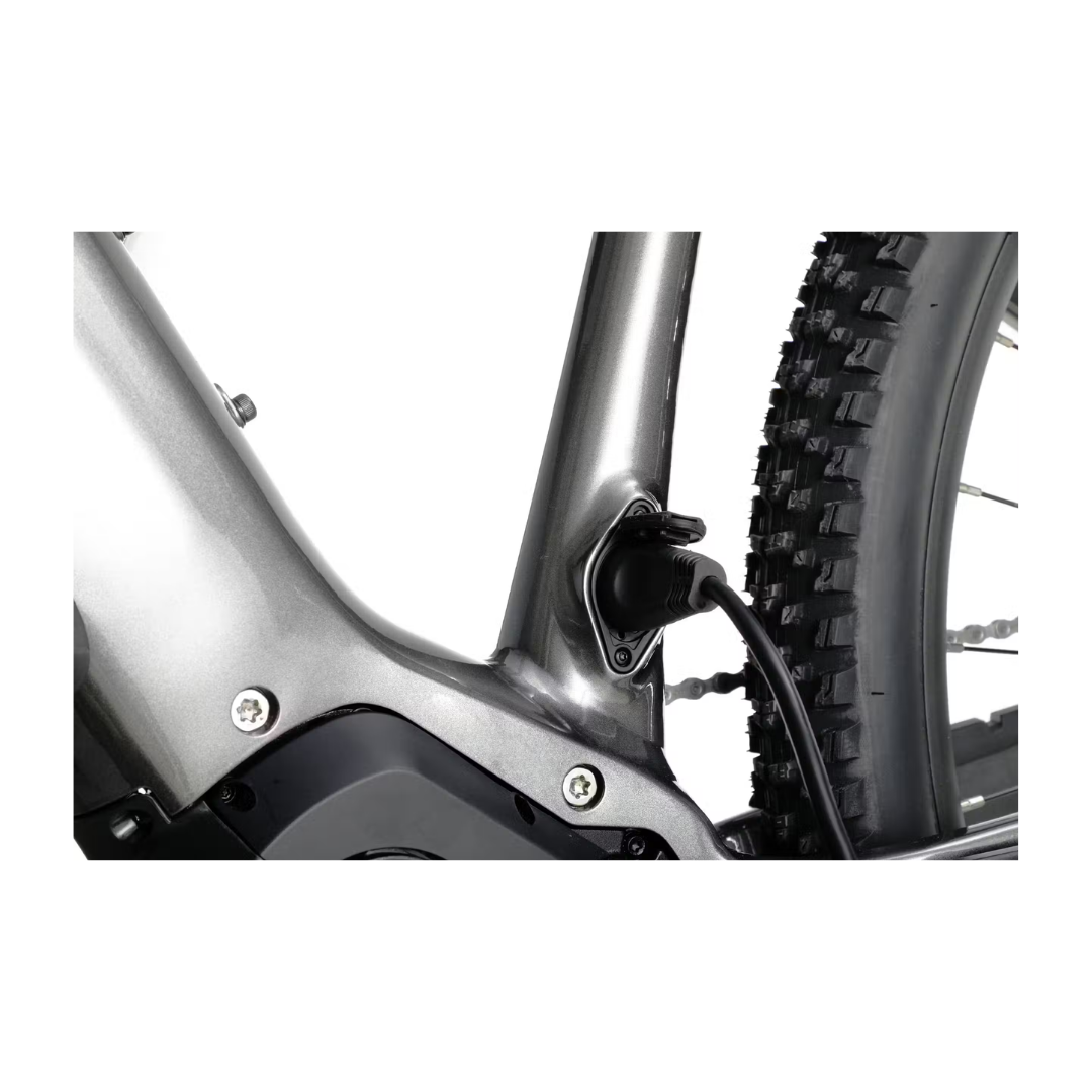 Aventon | Ramblas