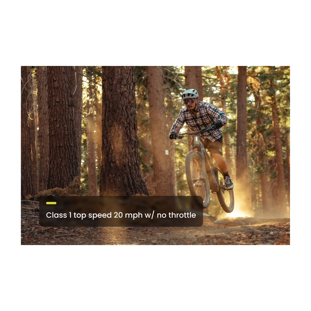 Aventon | Ramblas