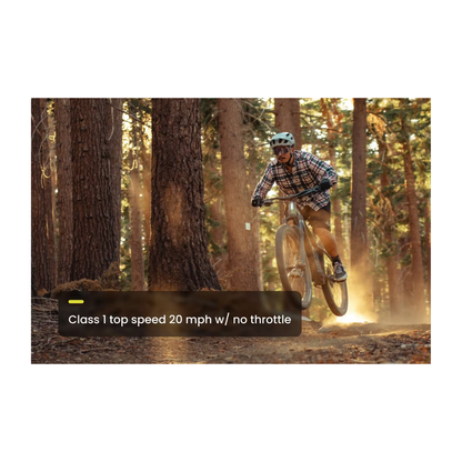 Aventon | Ramblas