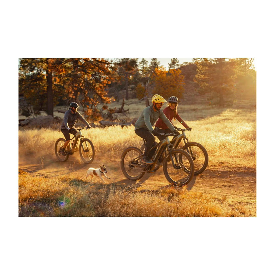 Aventon | Ramblas