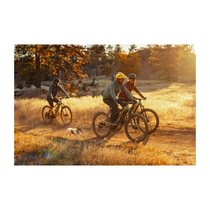 Aventon | Ramblas