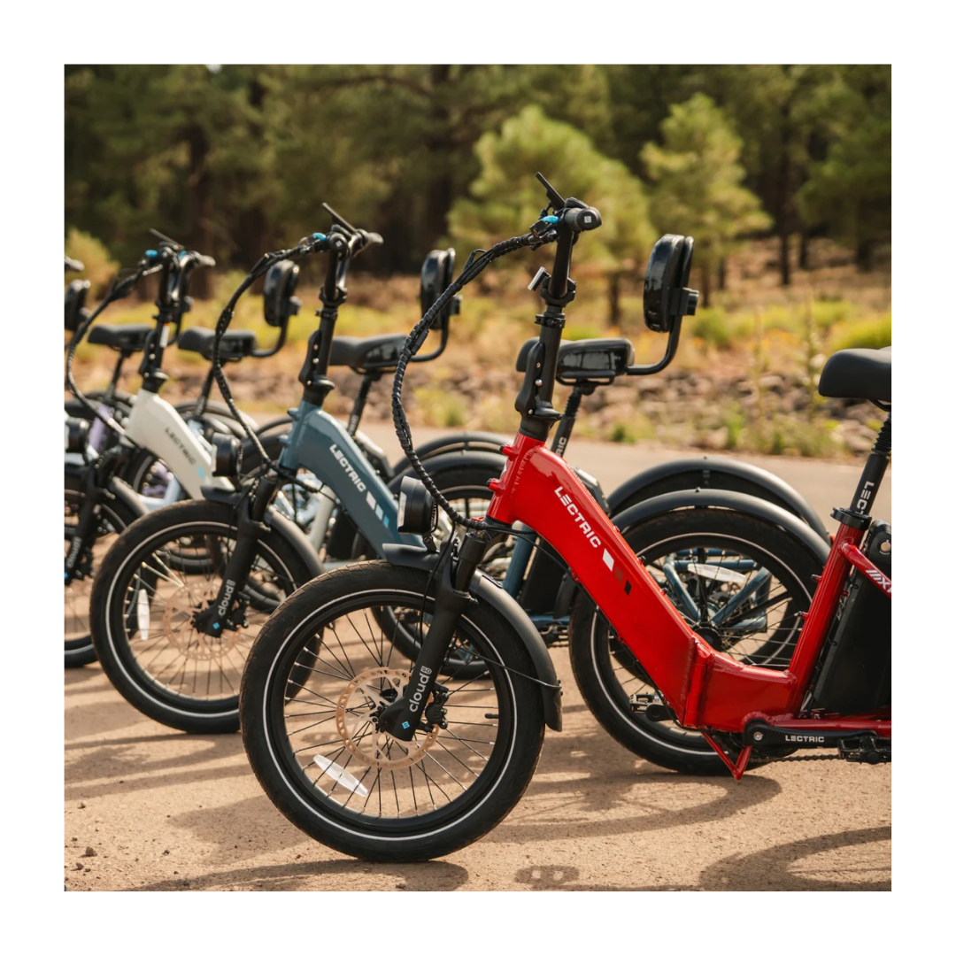 Lectric | XP Trike 2 750 eBike