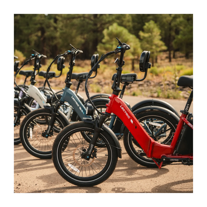 Lectric | XP Trike 2 750 eBike