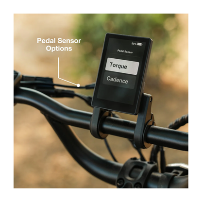 Lectric | XP Trike 2 750 eBike