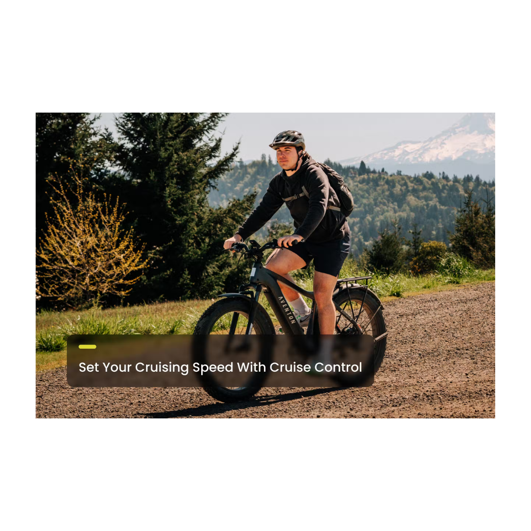 Aventon | Aventure 3 eBike