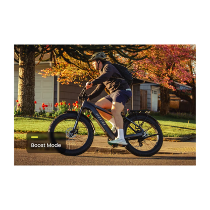 Aventon | Aventure 3 eBike