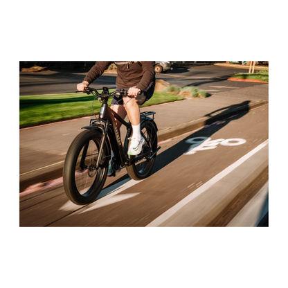 Aventon | Aventure 3 eBike