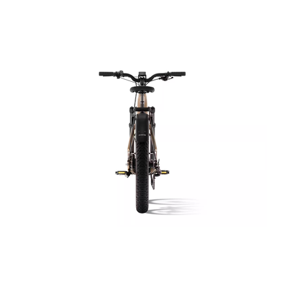 Aventon | Aventure 3 eBike