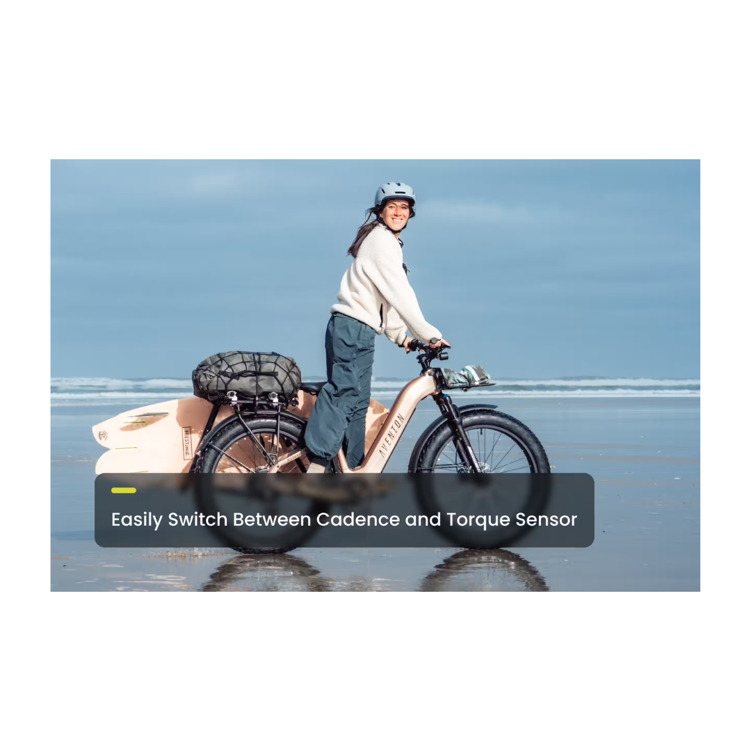 Aventon | Aventure 3 eBike