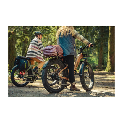 Aventon | Aventure 3 eBike