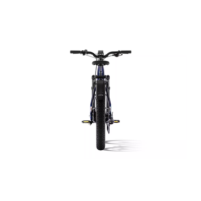 Aventon | Aventure 3 eBike