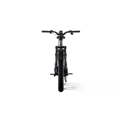 Aventon | Aventure M eBike