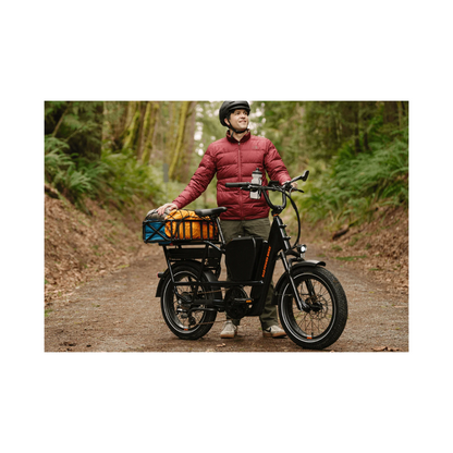 Rad Power Bikes | RadRunner Max eBike