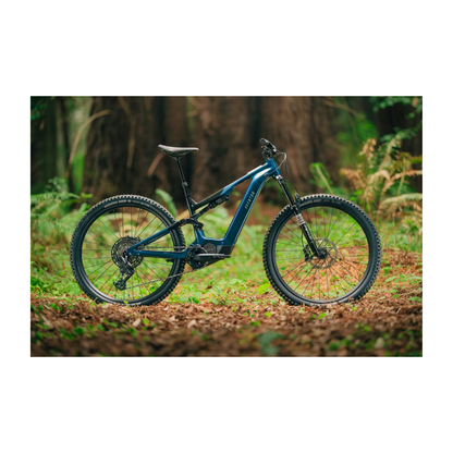Aventon | Current ADV (PRE-ORDER)