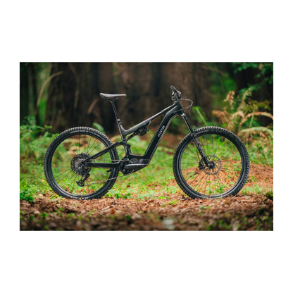 Aventon | Current EXP (PRE ORDER)