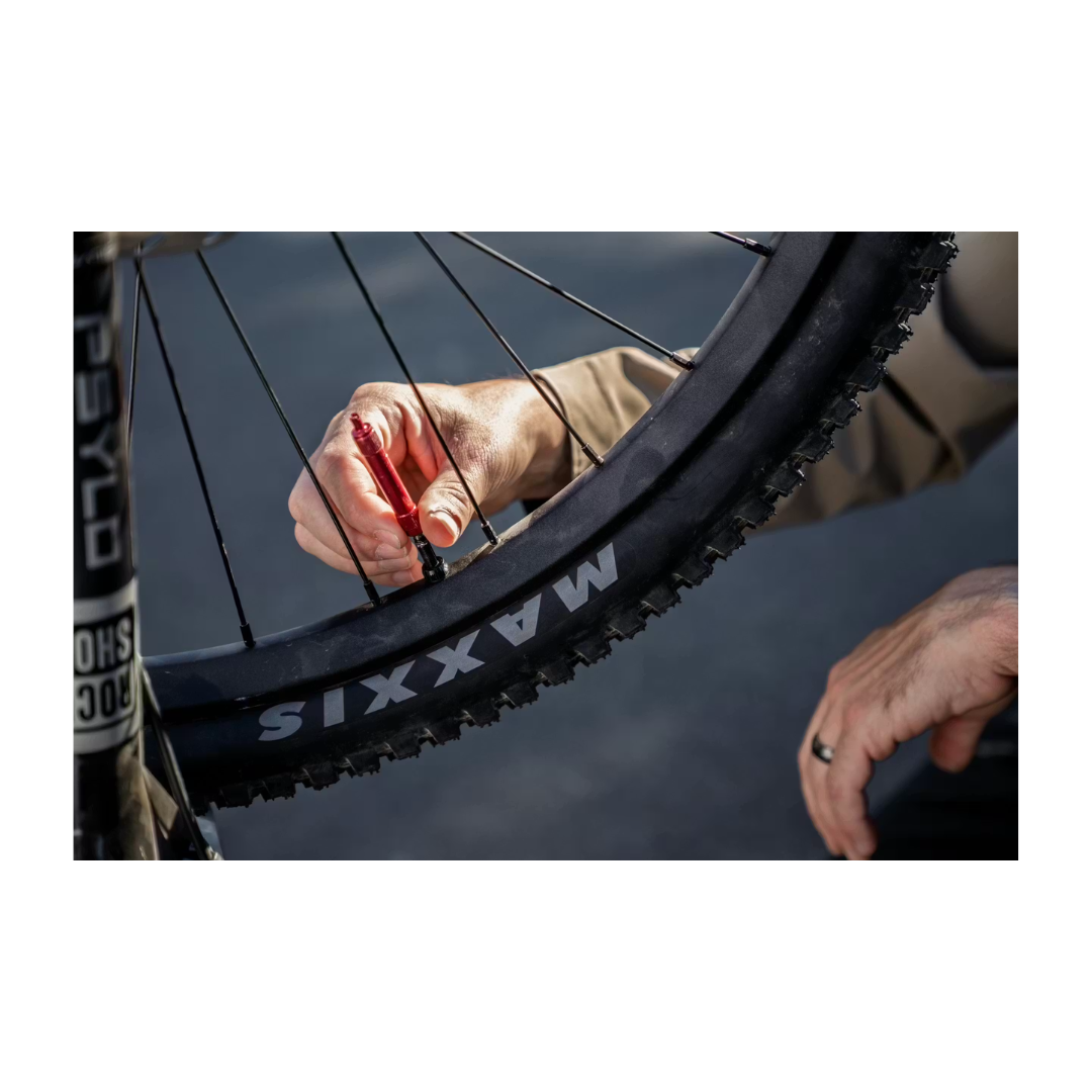 Aventon | Current EXP (PRE ORDER)