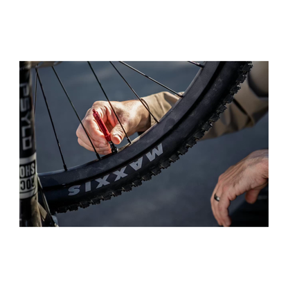 Aventon | Current EXP (PRE ORDER)