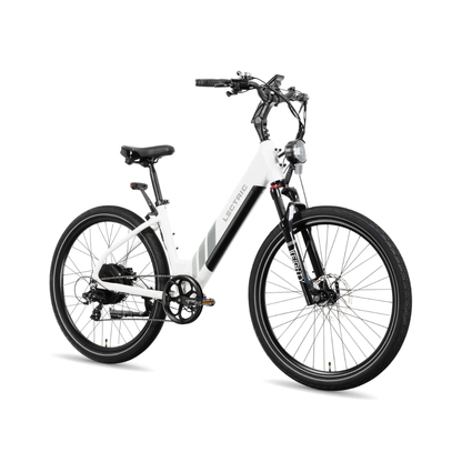 Lectric | XPress 750 eBike