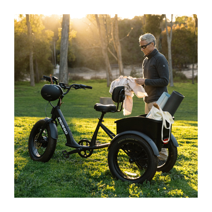 Pedego | Fat Tire Trike Ebike