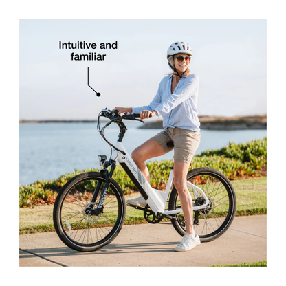 Lectric | XPress 750 eBike