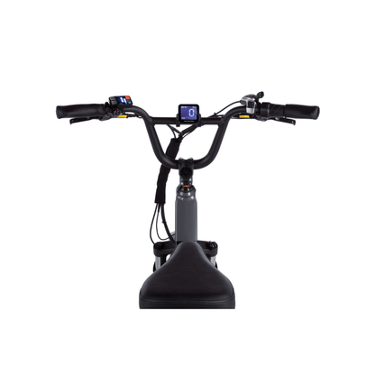 Rad Power Bikes | RadRunner 3 Plus