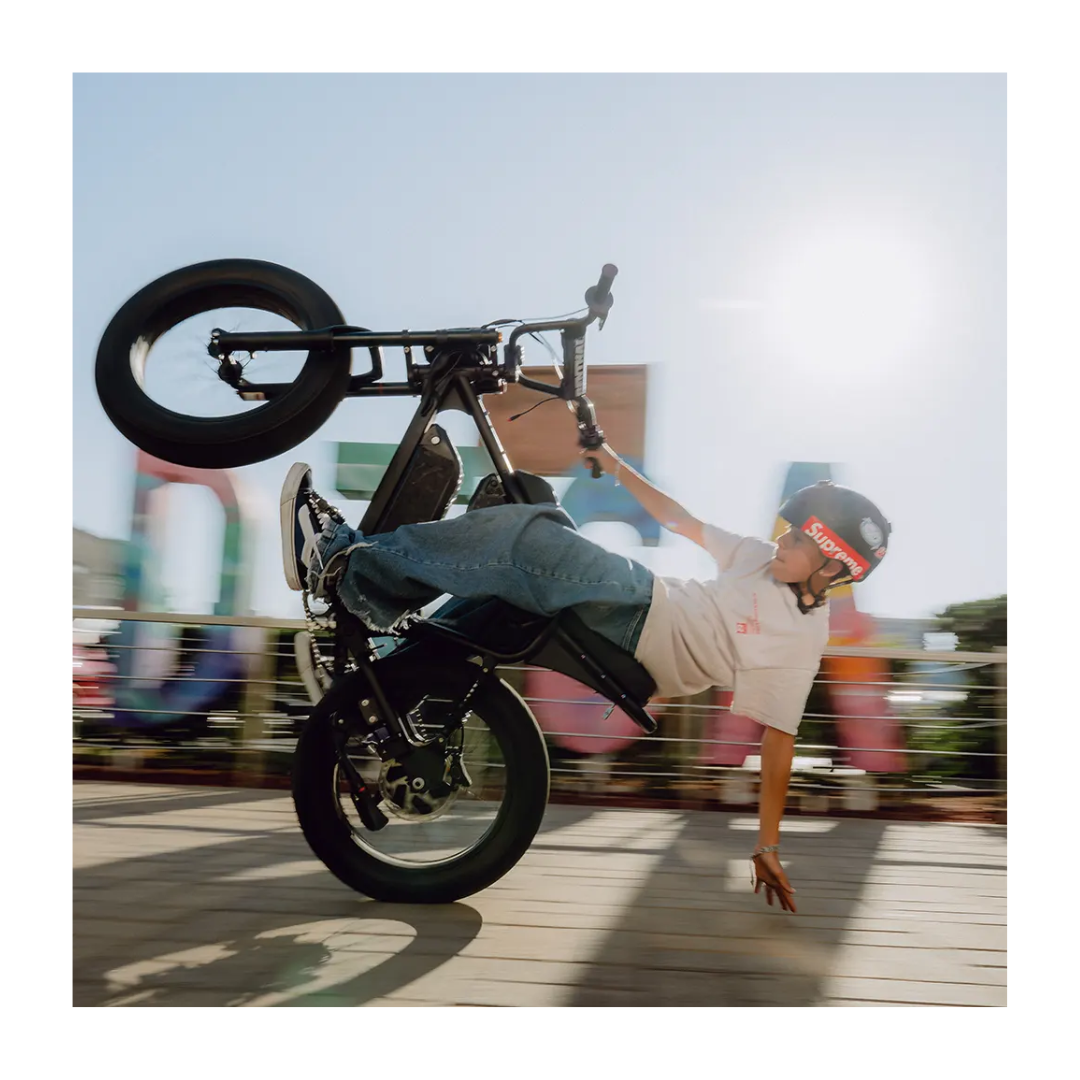MacFox | X1 eBike
