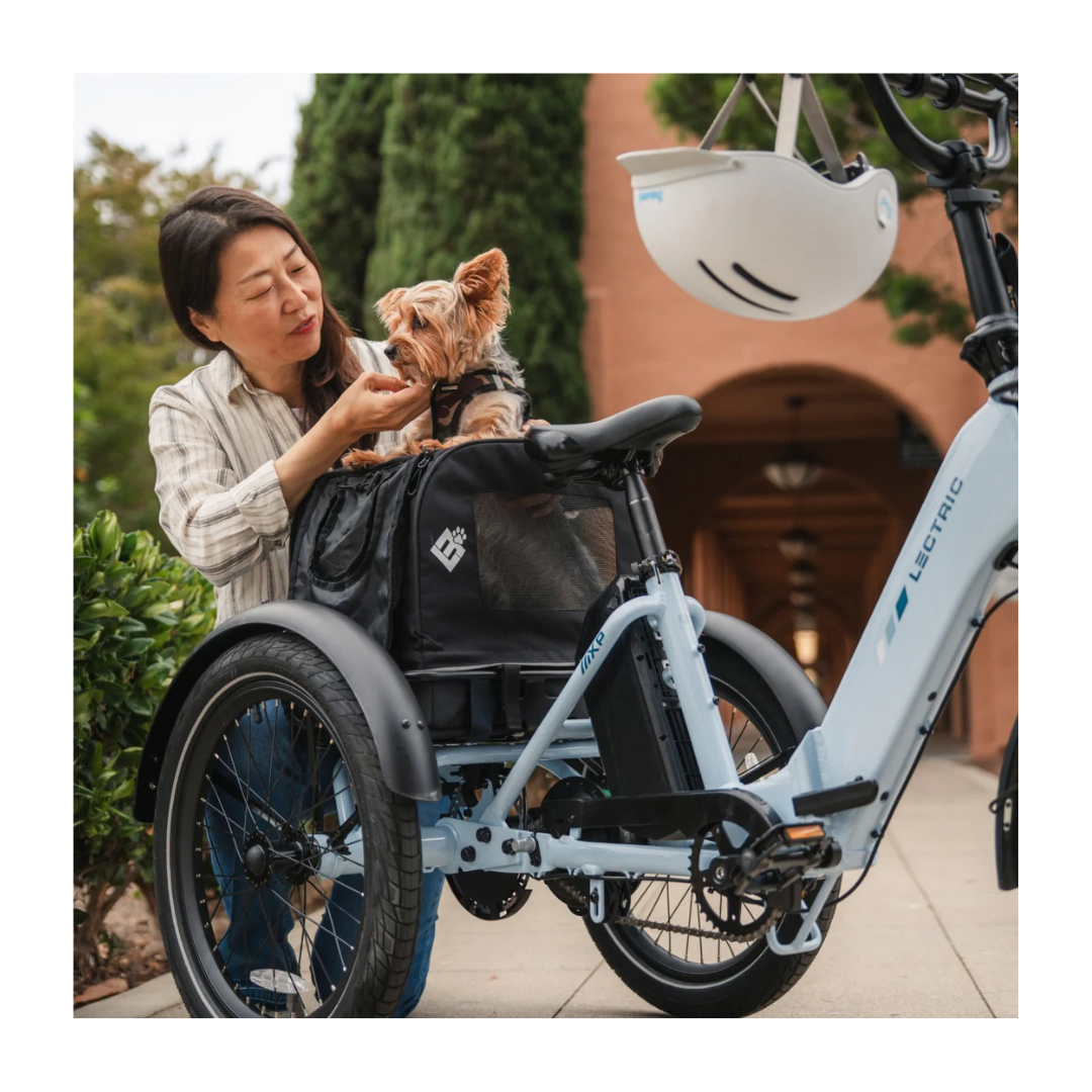 Lectric | XP Trike 2 500 eBike