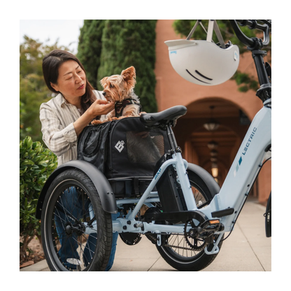 Lectric | XP Trike 2 500 eBike