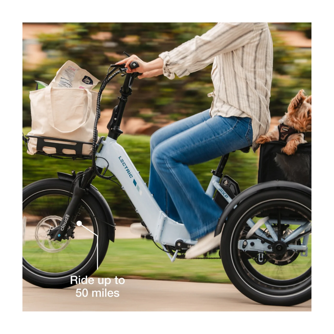 Lectric | XP Trike 2 500 eBike