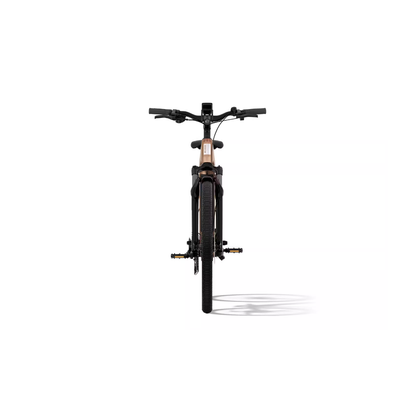Aventon | Level 3 eBike