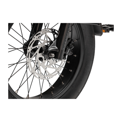 Troxus | Lynx Cargo Ebike