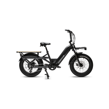 Troxus | Lynx Cargo Ebike