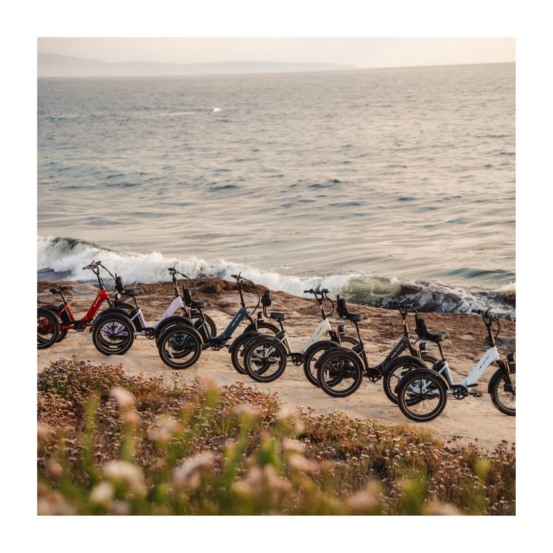 Lectric | XP Trike 2 500 eBike