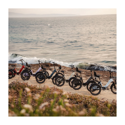 Lectric | XP Trike 2 500 eBike